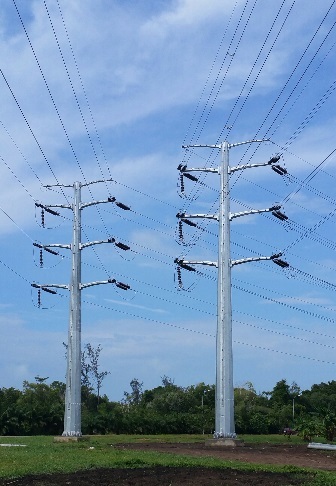 Steel Monopole Tower A sleek, single-pole steel monopole tower used for telecommunications or power transmission in an urban area.